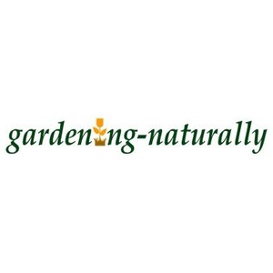 10% Off All Orders