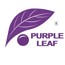 Upto 55% Off on Weakly Deals
