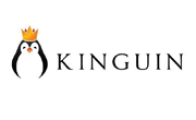 kinguin.net
