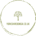 Yorkshire Bonsai