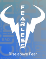 Fearless Sports