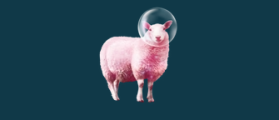 Pink Sheep Wellness